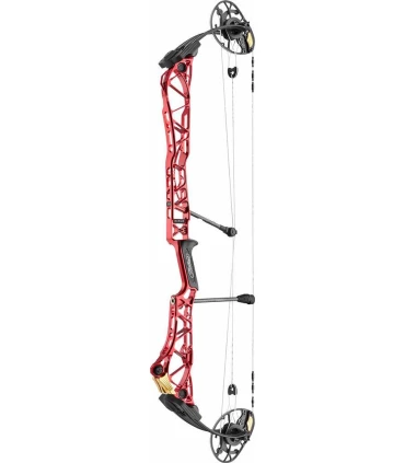 Mathews TITLE 38