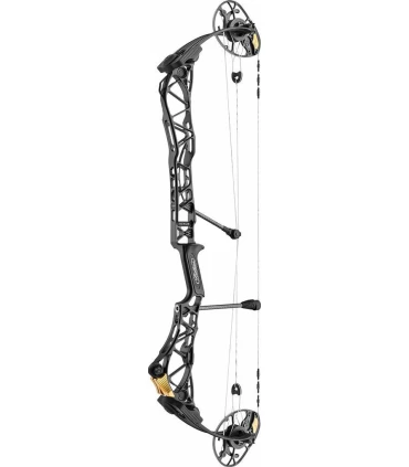 Mathews TITLE 36