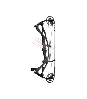 Hoyt Carbon RX-8 2024