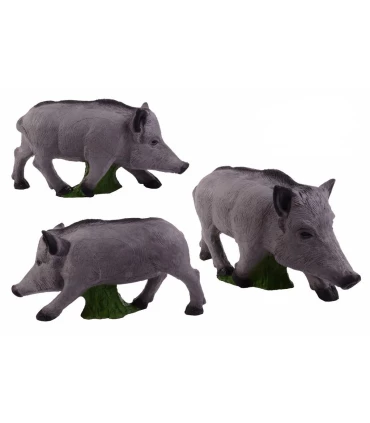 June sanglier Beier Young Wild Boar