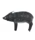 Pecari Wild Life Javelina