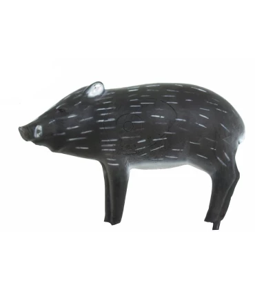 Pecari Wild Life Javelina