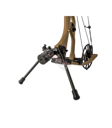 Repose arc Hoyt Go-Stix Carbon 2.0