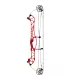 Hoyt Concept X40 SCTR CDM branches blanches Red Flare