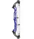 Hoyt Concept X 37 Branches Noires SCTR CDM
