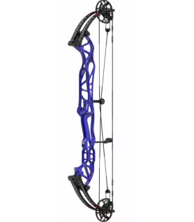 Hoyt Concept X 37 Branches Noires SCTR CDM