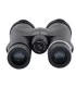 Jumelles Avalon Classic 10 x 42