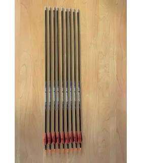 Lot 9 Flèches Tyro 800 d'Occasion