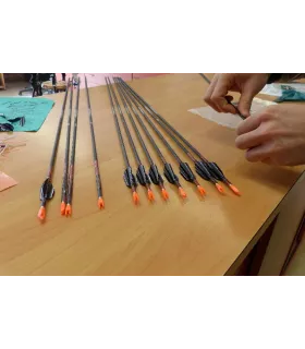 Montage Plumes Spin Wing