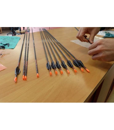 Montage Plumes Spin Wing