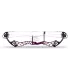 Bowtech Reckoning 36 Gen2 2025 Custom Color