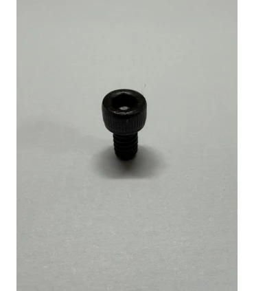 Vis Hoyt pour module cam Z5 SVX