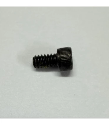 Vis Hoyt pour module cam Z5 SVX