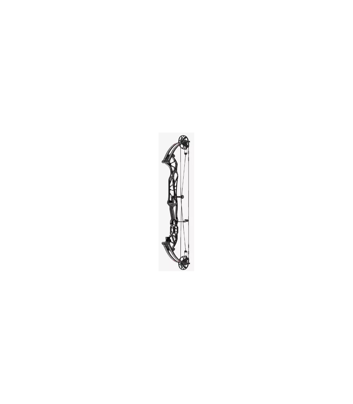 Hoyt Concept X 37 Branches Noires SCTR CDM Skeeter