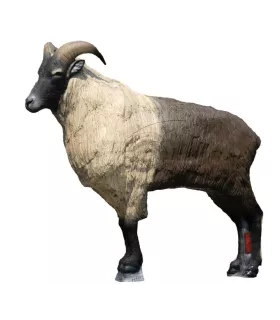 Himalayan Tahr SRT