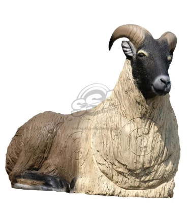 Himalayan Tahr Couché SRT