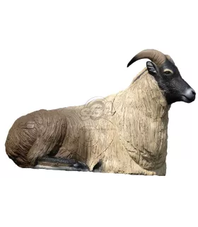 Himalayan Tahr Couché SRT
