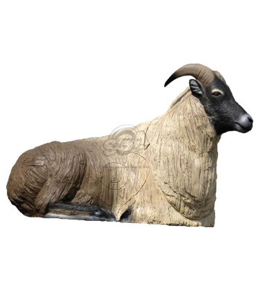 Himalayan Tahr Couché SRT