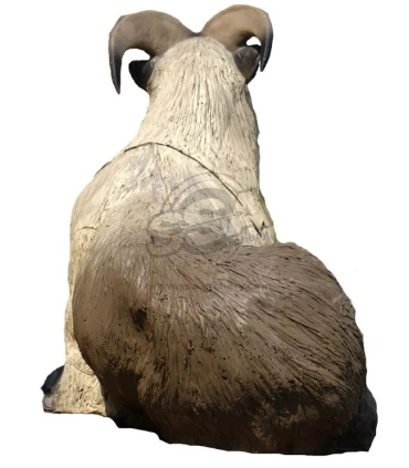 Himalayan Tahr Couché SRT