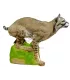 Linx Bobcat SRT