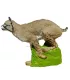 Linx Bobcat SRT