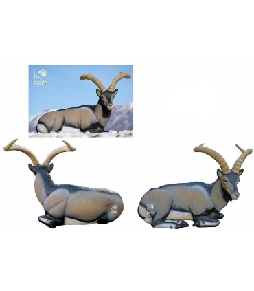 Cabra Montes Couché SRT Wild Goat Bedded