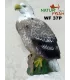 Aigle Natur Foam Pygargue à tête blanche