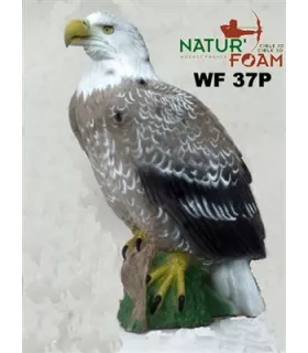 Aigle Natur Foam Pygargue à tête blanche
