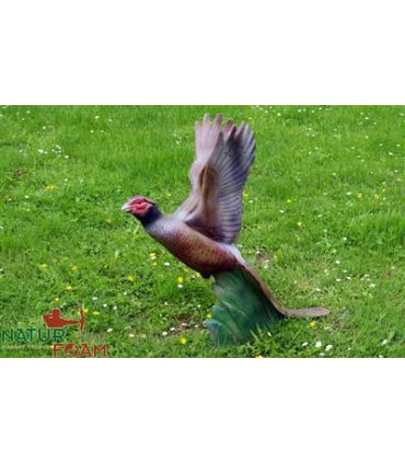 Faisan qui décolle Natur Foam Pheasant Soaring