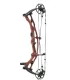 HOYT RX-10 2026 Couleur Unie