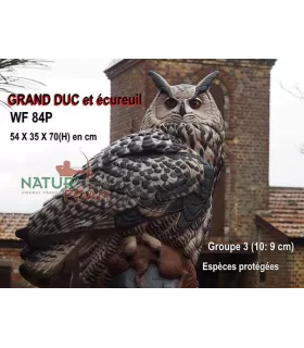 Grand Duc et Écureuil Natur'foam Eagle-Owl Whith Prey