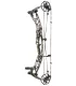 Hoyt Alpha AX-3 33" 2026 Couleur Camo