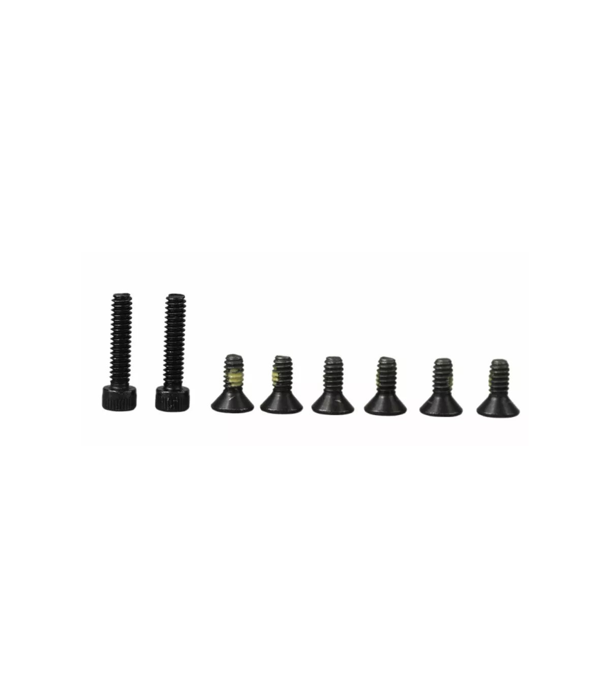 Sachet De Vis Hoyt ZT/DCX/HBX/SCTR Concept X