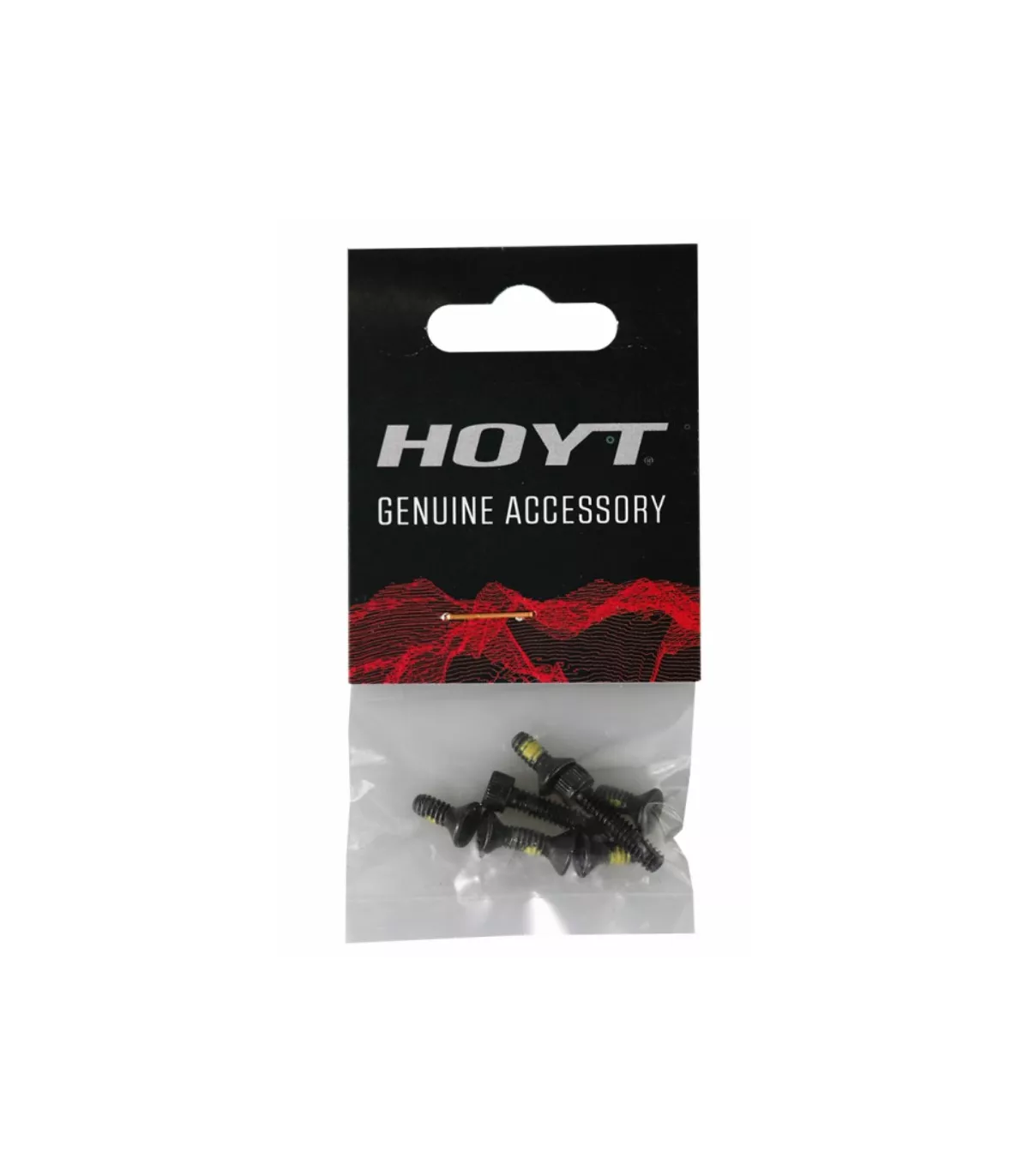 Sachet De Vis Hoyt ZT/DCX/HBX/SCTR Concept X