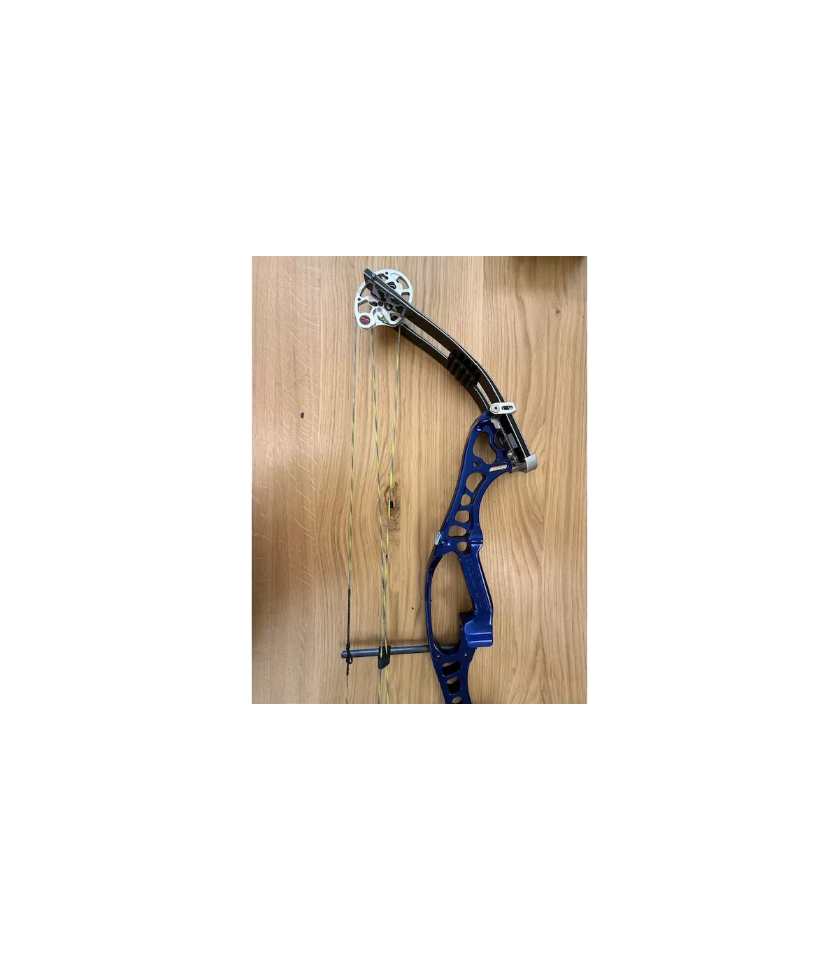 Arc D'Occasion Hoyt Contender RH 60lbs