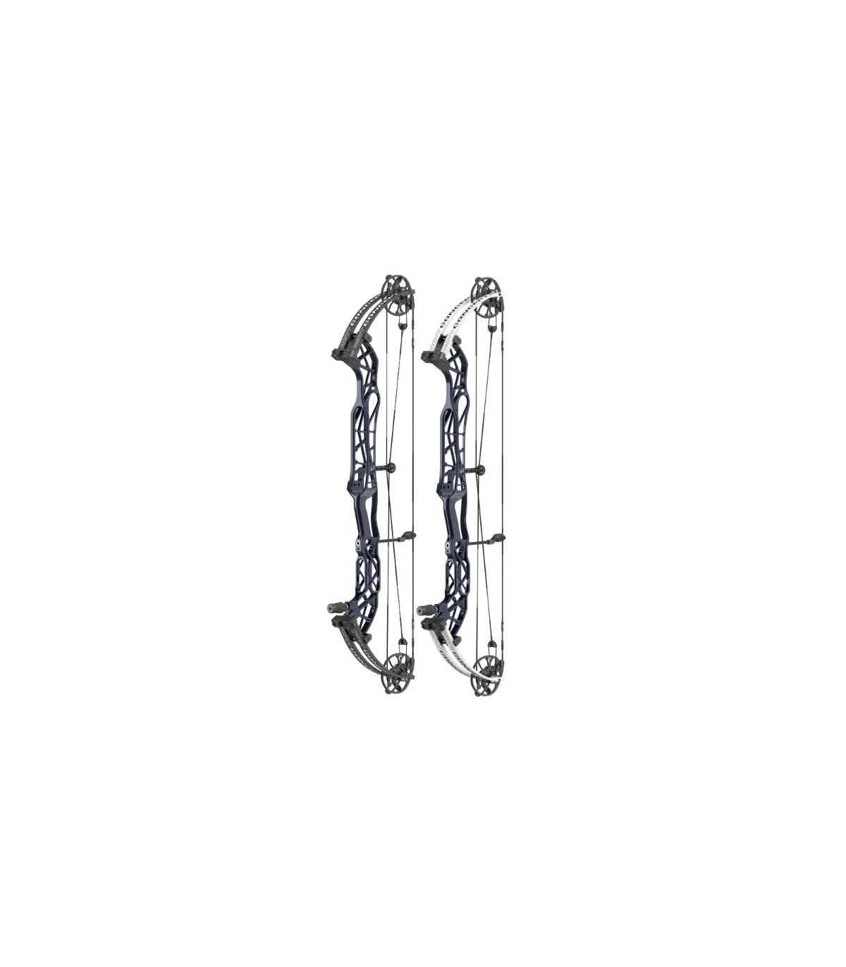 Hoyt Concept XTS 40 TDM blue on black