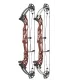 Hoyt Concept XTS 37 TDM georgia clay