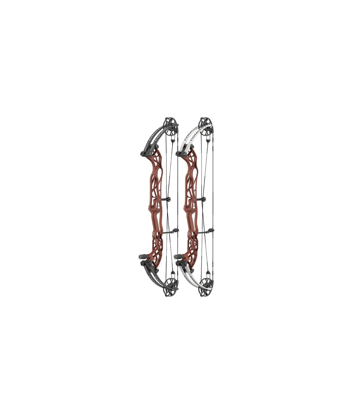 Hoyt Concept XTS 37 TDM georgia clay