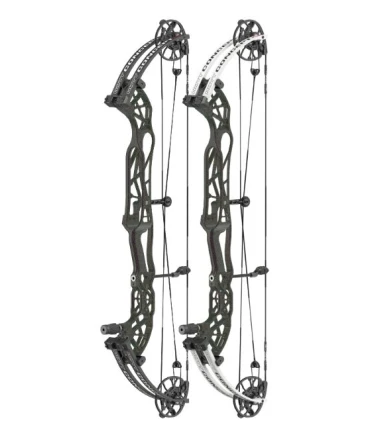 Hoyt Concept XTS 37 TDM tombstone
