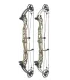 Hoyt Concept XTS 40 LD (HBX Gen4) Sandstorm