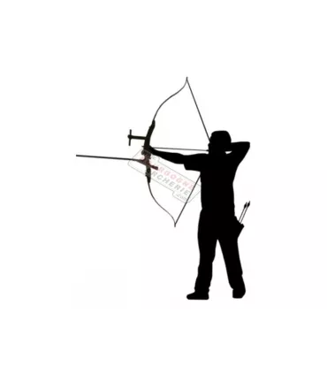 Sticker archer Arctec