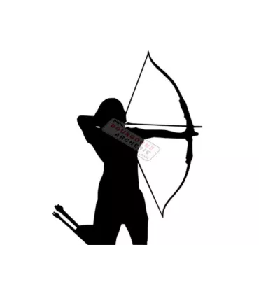 Sticker archer Arctec