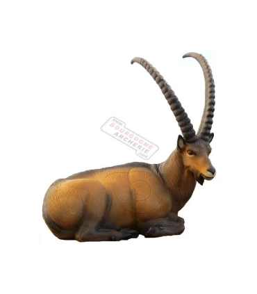 Bouquetin Couché SRT 