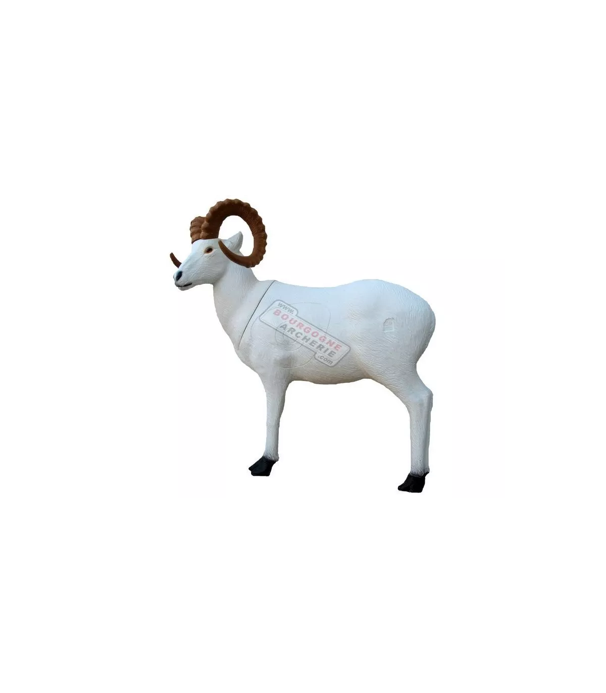 Dall Sheep SRT 