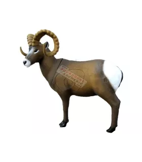 Rocky Mountain Sheep SRT 