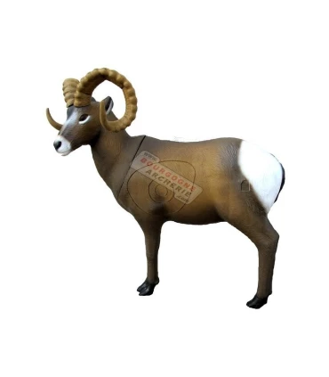 Rocky Mountain Sheep SRT 