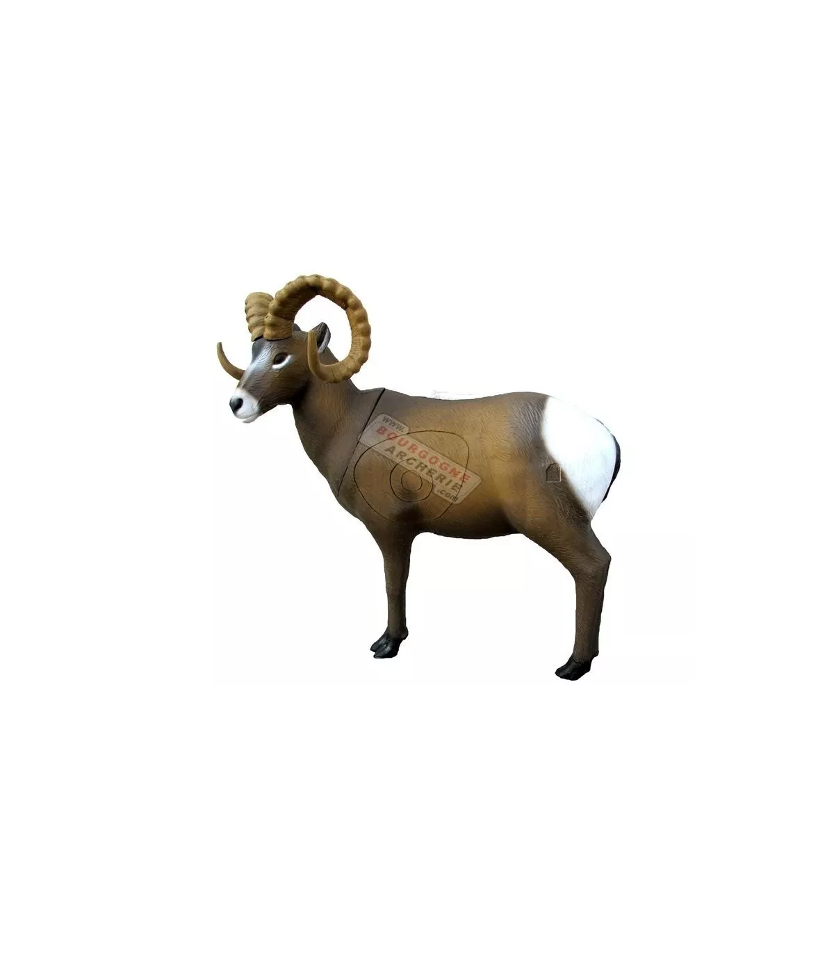 Rocky Mountain Sheep SRT 