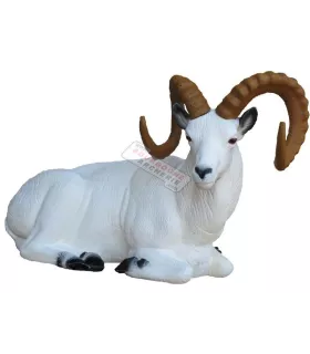 Dall Sheep couché SRT 