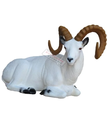 Dall Sheep couché SRT 