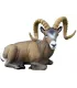 Rock Mountain Sheep couché SRT 